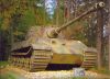 Panther_01.jpeg