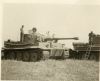 Název souboru=Tiger_13.jpg
Velikost souboru=46KB
Rozměry=655x531
Datum přidání=17. Červen 2006 Tiger_13.jpg