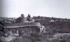 Tiger_17.jpg