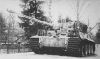Tiger_18.jpg