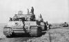 Tiger_19.jpg