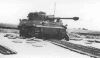 Tiger_25.jpg