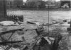 T_34_01.jpeg