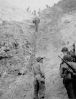 Název souboru=Normandie_1944b.jpeg
Velikost souboru=45KB
Rozměry=338x444
Datum přidání=14. Červen 2006 Normandie_1944b.jpeg