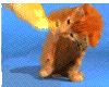 Název souboru=job4.gif
Velikost souboru=24KB
Rozměry=100x80
Datum přidání=17. Březen 2009 job4.gif