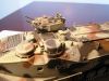 RDragonAAV7A160056e.jpg