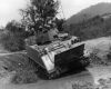 m113vietnamacav.jpg